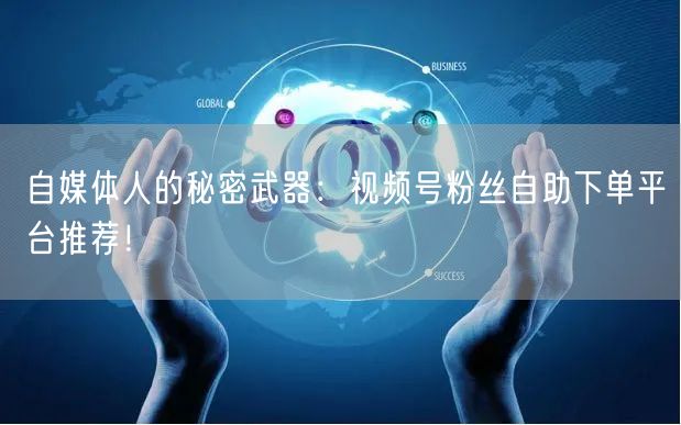 自媒体人的秘密武器:视频号粉丝自助下单平台推荐!