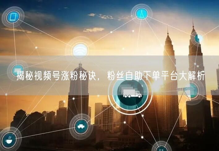 揭秘视频号涨粉秘诀，粉丝自助下单平台大解析