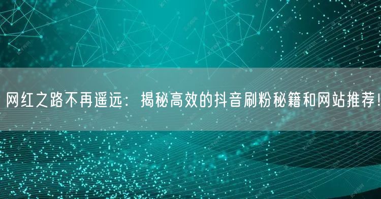 网红之路不再遥远:揭秘高效的抖音刷粉秘籍和网站推荐!