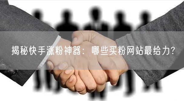 揭秘快手涨粉神器:哪些买粉网站最给力?