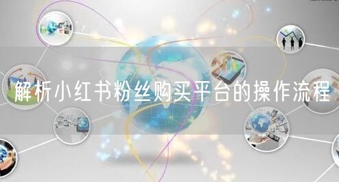 解析小红书粉丝购买平台的操作流程