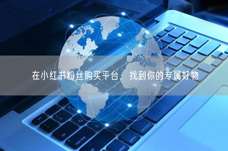 在小红书粉丝购买平台，找到你的专属好物