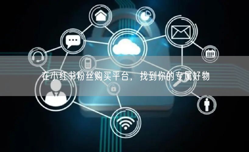 在小红书粉丝购买平台，找到你的专属好物