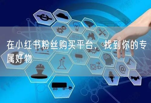 在小红书粉丝购买平台，找到你的专属好物