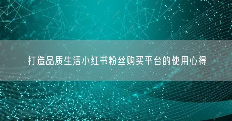 打造品质生活小红书粉丝购买平台的使用心得
